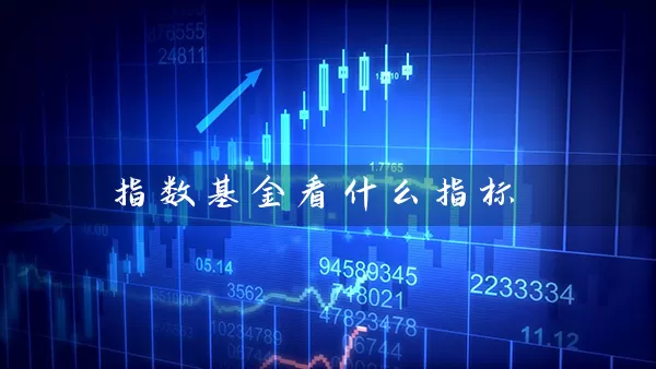 指数基金看什么指标 (https://www.cnq.net/) 基金基础教程 第1张