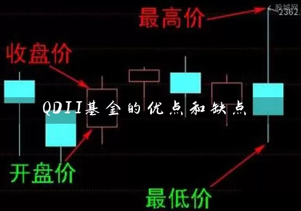 QDII基金的优点和缺点 (https://www.cnq.net/) 基金基础教程 第1张