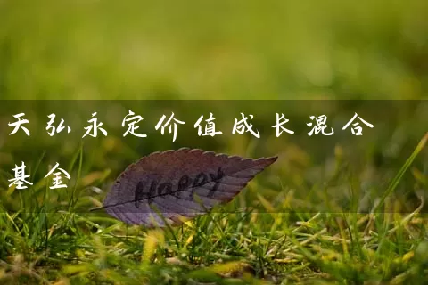 天弘永定价值成长混合基金 基金基础教程 第1张-学习理财网 天弘永定价值成长混合基金 (https://www.cnq.net/) 基金基础教程 第1张