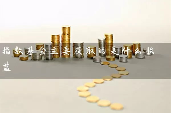 指数基金主要获取的是什么收益 (https://www.cnq.net/) 基金基础教程 第1张
