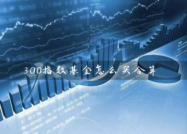 300指数基金怎么买合算 (https://www.cnq.net/) 基金基础教程 第1张