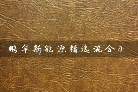 鹏华新能源精选混合a (https://www.cnq.net/) 基金基础教程 第1张