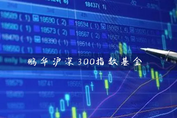 鹏华沪深300指数基金 (https://www.cnq.net/) 基金基础教程 第1张