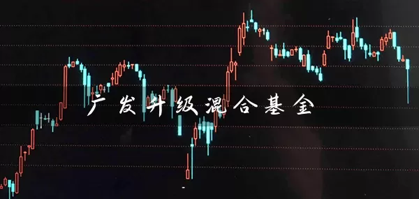 广发升级混合基金 (https://www.cnq.net/) 基金基础教程 第1张