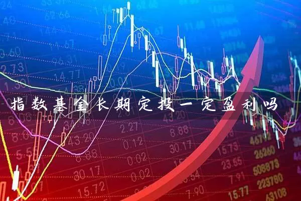 指数基金长期定投一定盈利吗 (https://www.cnq.net/) 基金基础教程 第1张