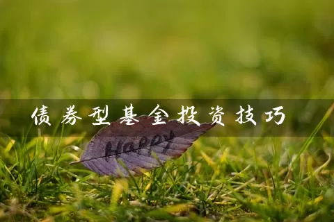 债券型基金投资技巧 (https://www.cnq.net/) 基金基础教程 第1张