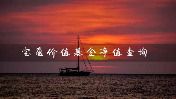 宝盈价值基金净值查询 (https://www.cnq.net/) 基金基础教程 第1张