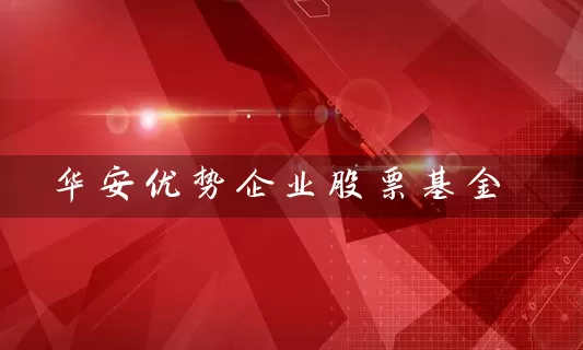 华安优势企业股票基金 (https://www.cnq.net/) 基金基础教程 第1张