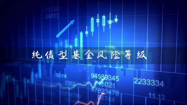 纯债型基金风险等级 (https://www.cnq.net/) 基金基础教程 第1张