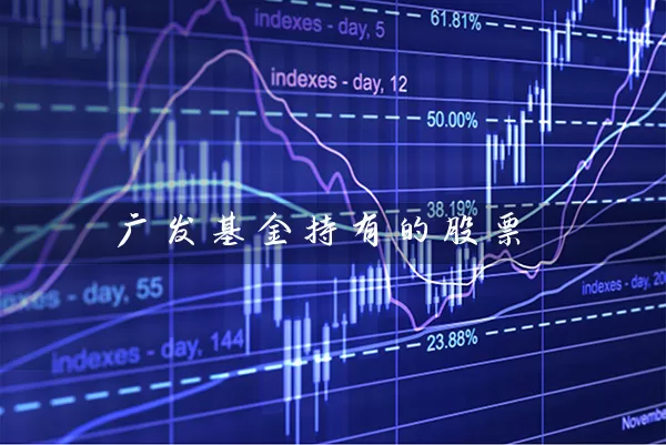 广发基金持有的股票 (https://www.cnq.net/) 基金基础教程 第1张