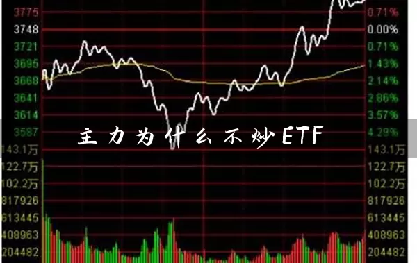 主力为什么不炒ETF 基金基础教程 第1张-学习理财网 主力为什么不炒ETF (https://www.cnq.net/) 基金基础教程 第1张