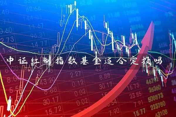 中证红利指数基金适合定投吗 (https://www.cnq.net/) 基金基础教程 第1张