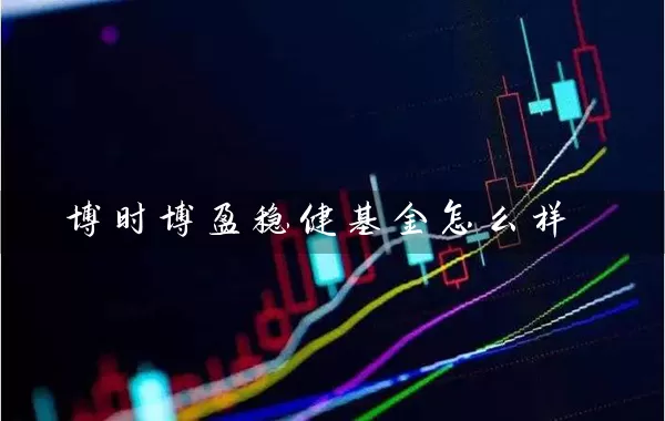 博时博盈稳健基金怎么样 基金基础教程 第1张-学习理财网 博时博盈稳健基金怎么样 (https://www.cnq.net/) 基金基础教程 第1张