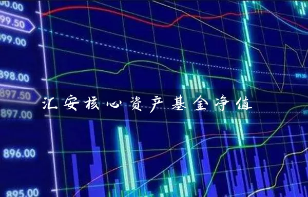 汇安核心资产基金净值 (https://www.cnq.net/) 基金基础教程 第1张