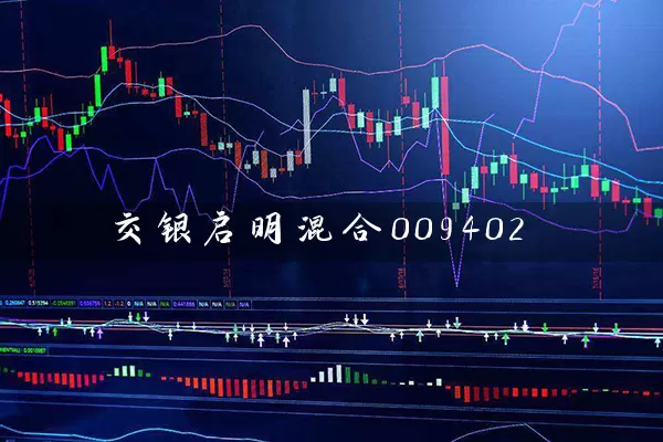 交银启明混合009402 (https://www.cnq.net/) 基金基础教程 第1张