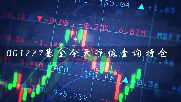 001227基金今天净值查询持仓 (https://www.cnq.net/) 基金基础教程 第1张