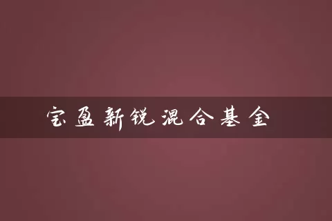 宝盈新锐混合基金 基金基础教程 第1张-学习理财网 宝盈新锐混合基金 (https://www.cnq.net/) 基金基础教程 第1张