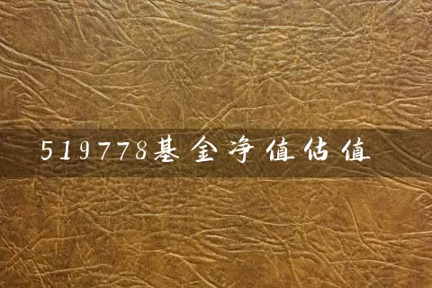 519778基金净值估值 (https://www.cnq.net/) 基金基础教程 第1张