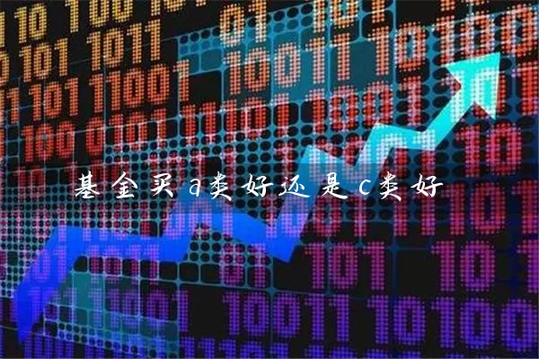 基金买a类好还是c类好 (https://www.cnq.net/) 基金基础教程 第1张