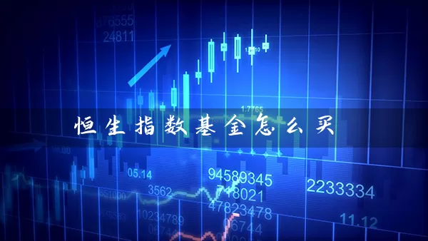 恒生指数基金怎么买 (https://www.cnq.net/) 基金基础教程 第1张