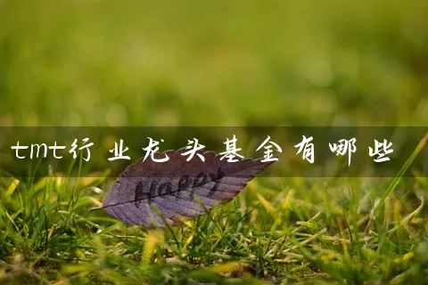 tmt行业龙头基金有哪些 (https://www.cnq.net/) 基金基础教程 第1张