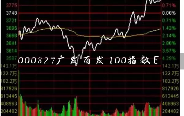 000827广发百发100指数E 基金基础教程 第1张-学习理财网 000827广发百发100指数E (https://www.cnq.net/) 基金基础教程 第1张