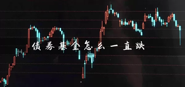 债券基金怎么一直跌 基金基础教程 第1张-学习理财网 债券基金怎么一直跌 (https://www.cnq.net/) 基金基础教程 第1张