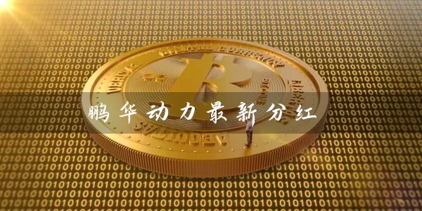 鹏华动力最新分红 (https://www.cnq.net/) 基金基础教程 第1张