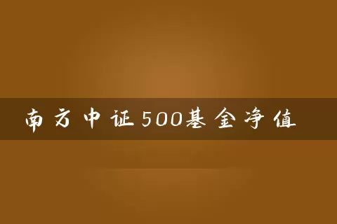 南方中证500基金净值 (https://www.cnq.net/) 基金基础教程 第1张