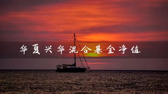 华夏兴华混合基金净值 (https://www.cnq.net/) 基金基础教程 第1张