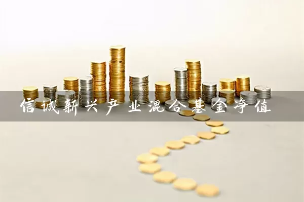 信诚新兴产业混合基金净值 (https://www.cnq.net/) 基金基础教程 第1张