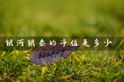 银河银泰的净值是多少 (https://www.cnq.net/) 基金基础教程 第1张