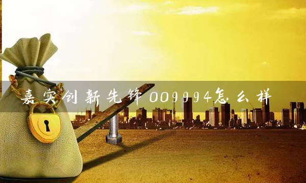 嘉实创新先锋009994怎么样 (https://www.cnq.net/) 基金基础教程 第1张