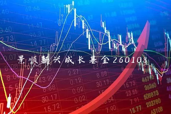 景顺新兴成长基金260108 (https://www.cnq.net/) 基金基础教程 第1张