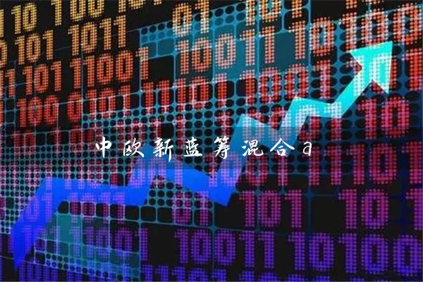 中欧新蓝筹混合a 基金基础教程 第1张-学习理财网 中欧新蓝筹混合a (https://www.cnq.net/) 基金基础教程 第1张