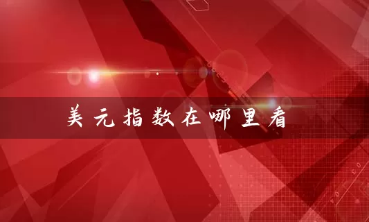 美元指数在哪里看 基金基础教程 第1张-学习理财网 美元指数在哪里看 (https://www.cnq.net/) 基金基础教程 第1张
