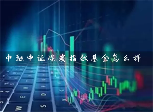 中融中证煤炭指数基金怎么样 基金基础教程 第1张-学习理财网 中融中证煤炭指数基金怎么样 (https://www.cnq.net/) 基金基础教程 第1张