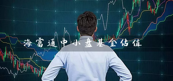 海富通中小盘基金估值 (https://www.cnq.net/) 基金基础教程 第1张