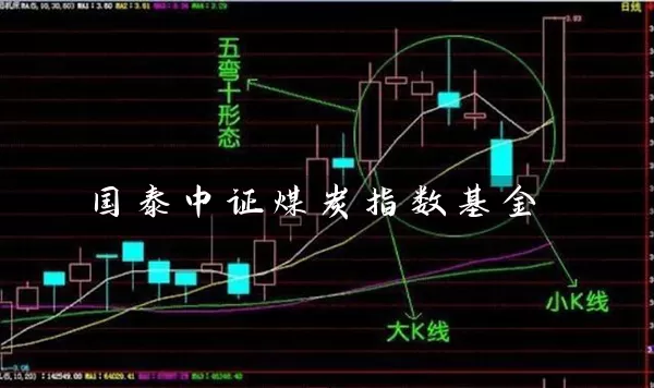 国泰中证煤炭指数基金 (https://www.cnq.net/) 基金基础教程 第1张