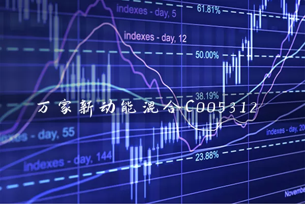 万家新动能混合C005312 (https://www.cnq.net/) 基金基础教程 第1张