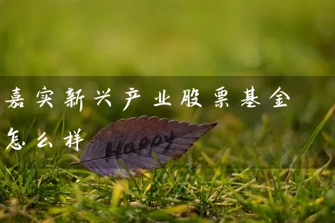 嘉实新兴产业股票基金怎么样 (https://www.cnq.net/) 基金基础教程 第1张