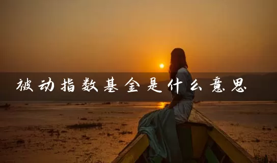 被动指数基金是什么意思 (https://www.cnq.net/) 基金基础教程 第1张