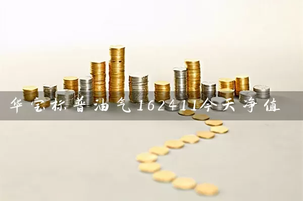 华宝标普油气162411今天净值 (https://www.cnq.net/) 基金基础教程 第1张