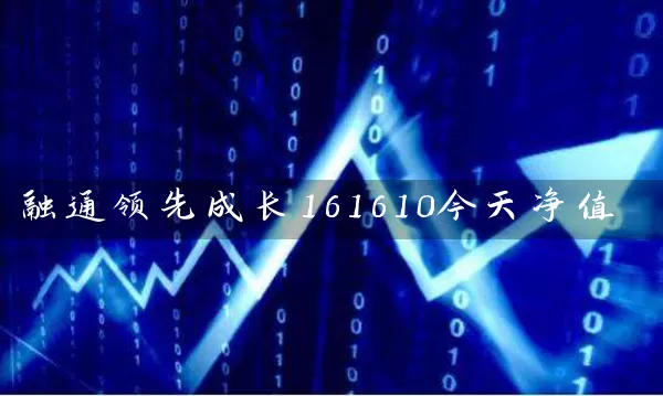 融通领先成长161610今天净值 基金基础教程 第1张-学习理财网 融通领先成长161610今天净值 (https://www.cnq.net/) 基金基础教程 第1张