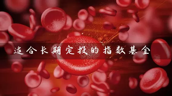 适合长期定投的指数基金 (https://www.cnq.net/) 基金基础教程 第1张