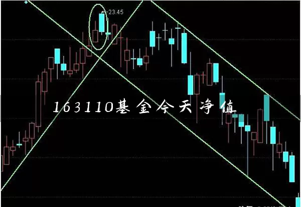 163110基金今天净值 (https://www.cnq.net/) 基金基础教程 第1张