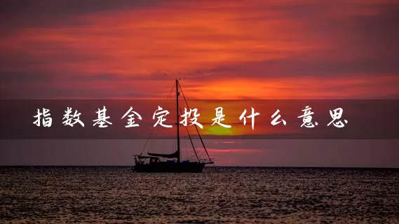 指数基金定投是什么意思 (https://www.cnq.net/) 基金基础教程 第1张