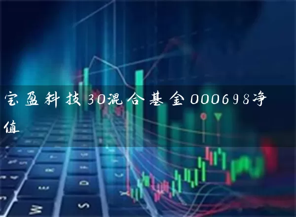 宝盈科技30混合基金000698净值 (https://www.cnq.net/) 基金基础教程 第1张