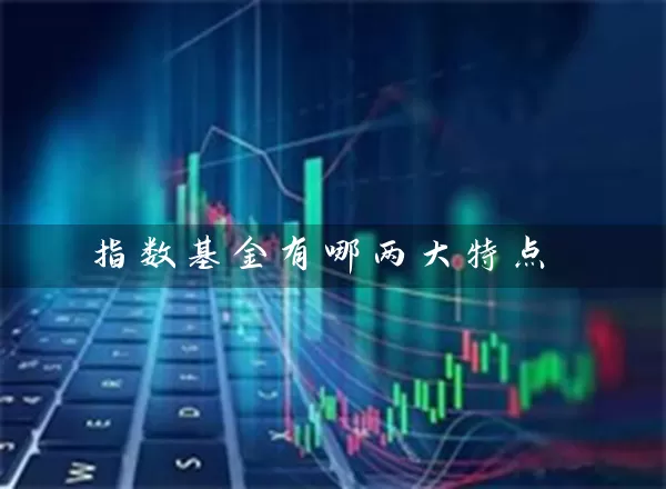 指数基金有哪两大特点 (https://www.cnq.net/) 基金基础教程 第1张