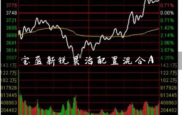 宝盈新锐灵活配置混合A (https://www.cnq.net/) 基金基础教程 第1张